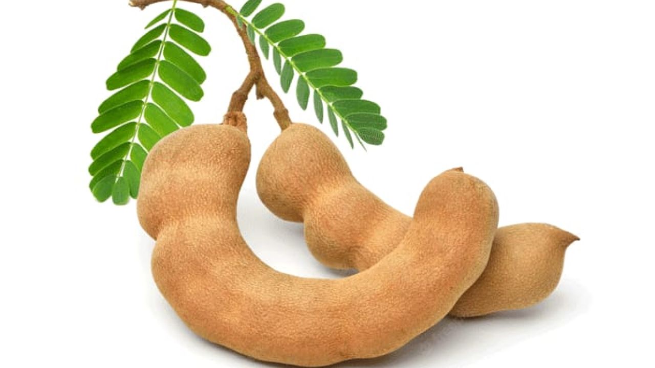 অনেক উপকারী ফল তেতুল 