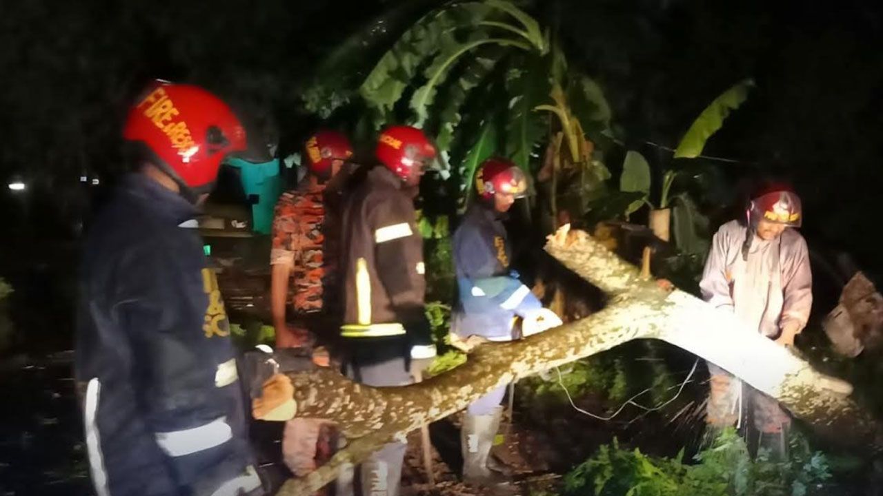 ফেনীতে কালবৈশাখীর তাণ্ডব, বিদ্যুৎবিচ্ছিন্ন পুরো জেলা