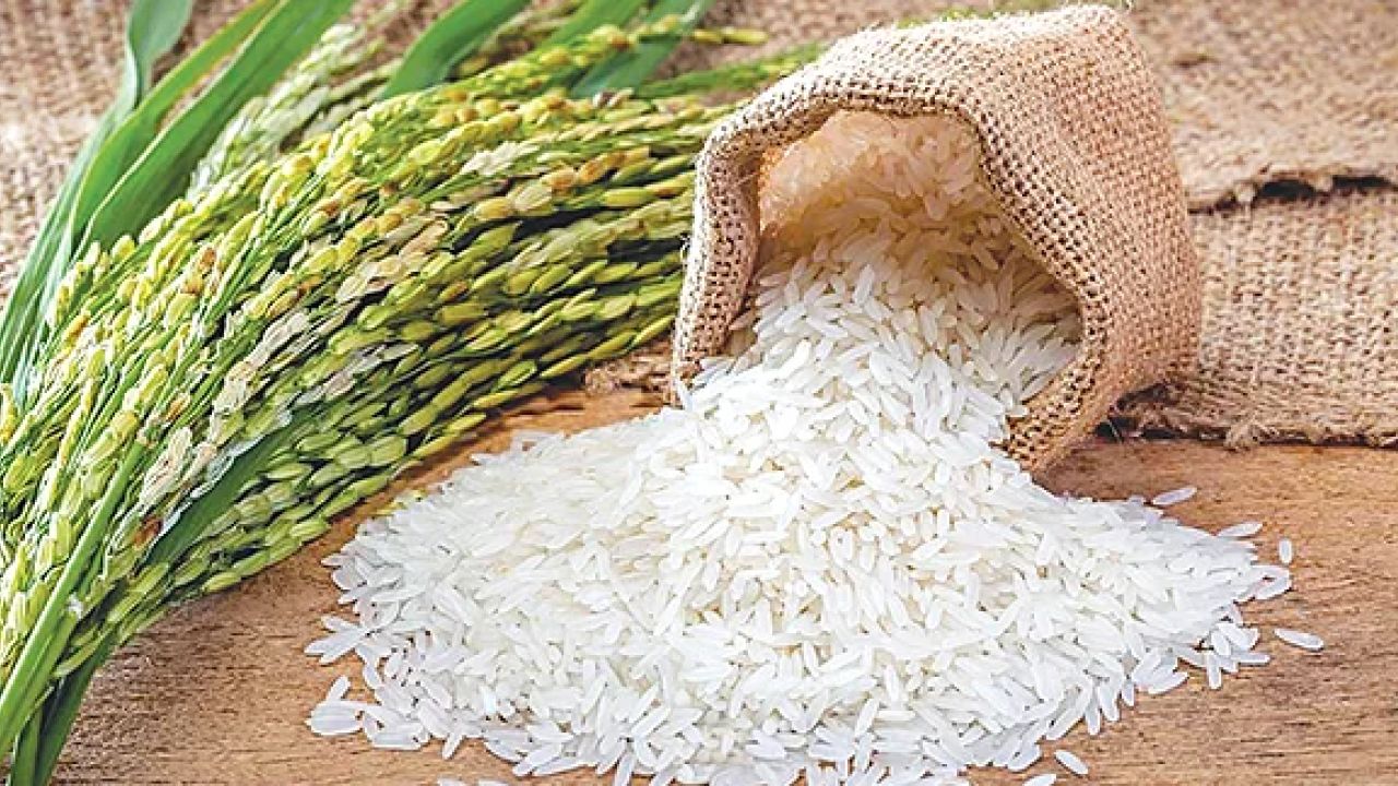 ভাতের পুষ্টিতেই ফিরবে স্বাস্থ্য: বাংলাদেশে উজ্জ্বল সম্ভাবনা ‘ফর্টিফাইড চাল’