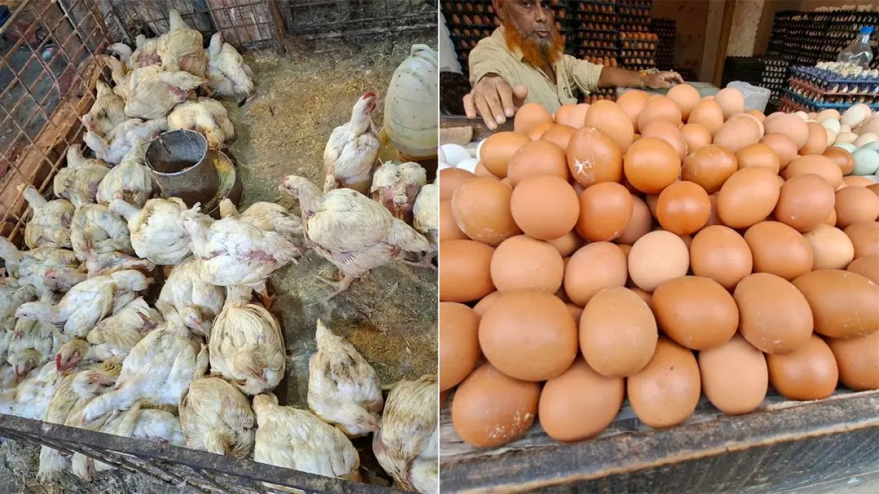 জুমার দিনে রাজধানীর বাজারে অস্থিরতা: ব্রয়লার ২০০, ডিম ১৫০