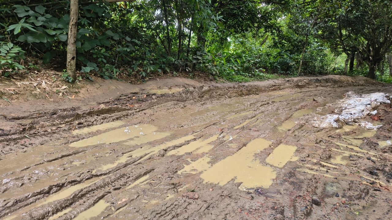 নারাঙ্গি চৌরাস্তা-মরচিখালের ঘাট স্কুল সড়কের বেহাল দশা